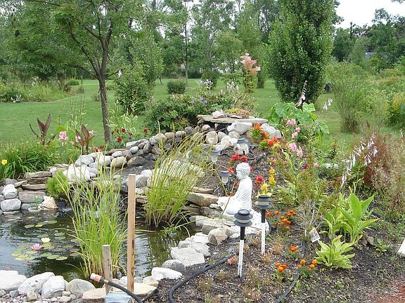 Waterfall + Pond