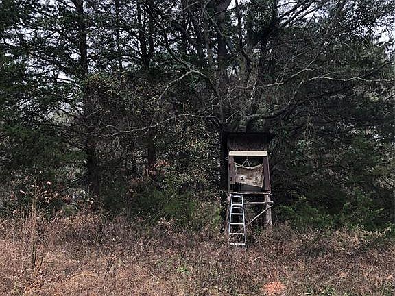 4th image of 988 County Road 2416