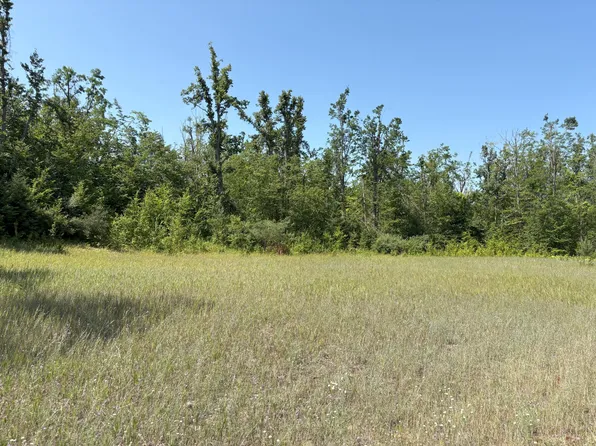 Sawyer Rd, Gaylord, MI 49735