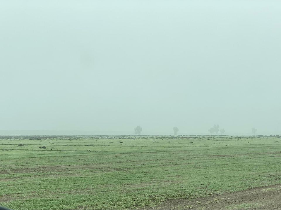 1st image of Elder