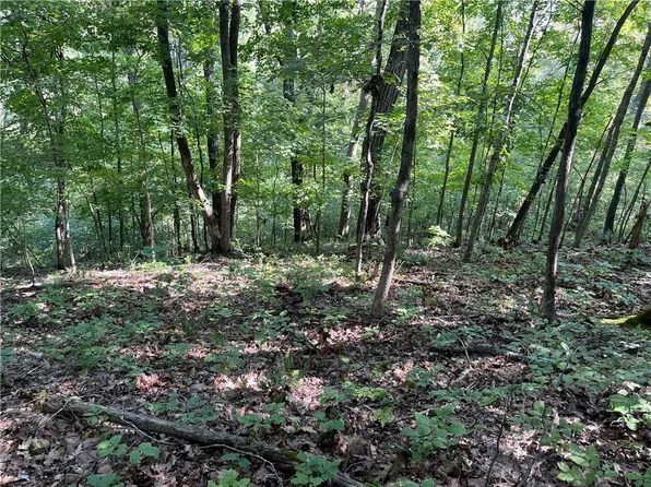 Clover Ln #103, Rogers, AR 72756