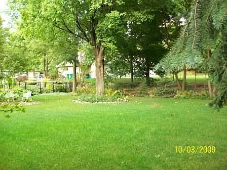 Back yard from deck