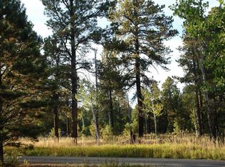 80 W Piney Woods Way, Placerville, CO 81430