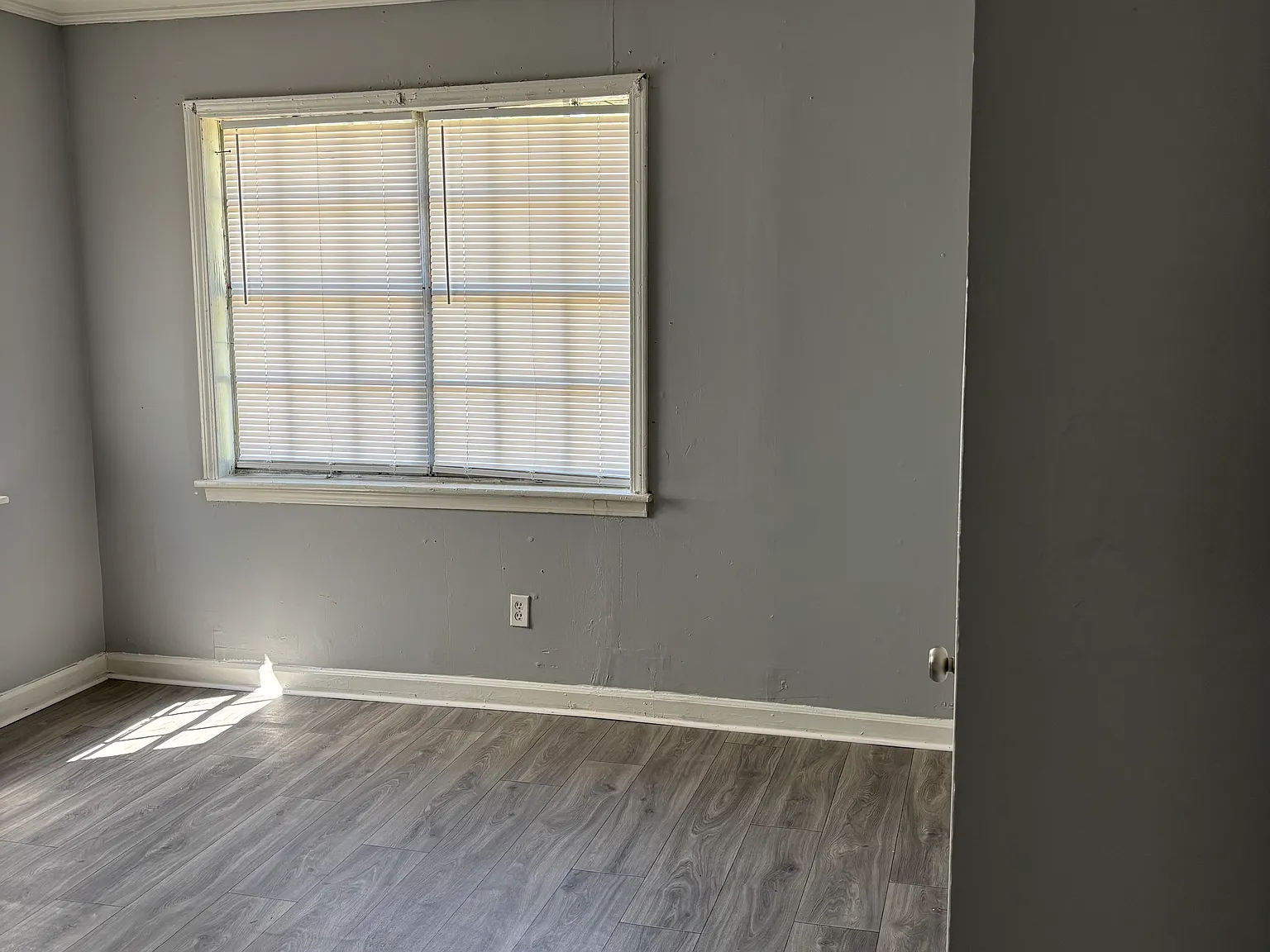 709 Cecelia Ave — Photo 3
