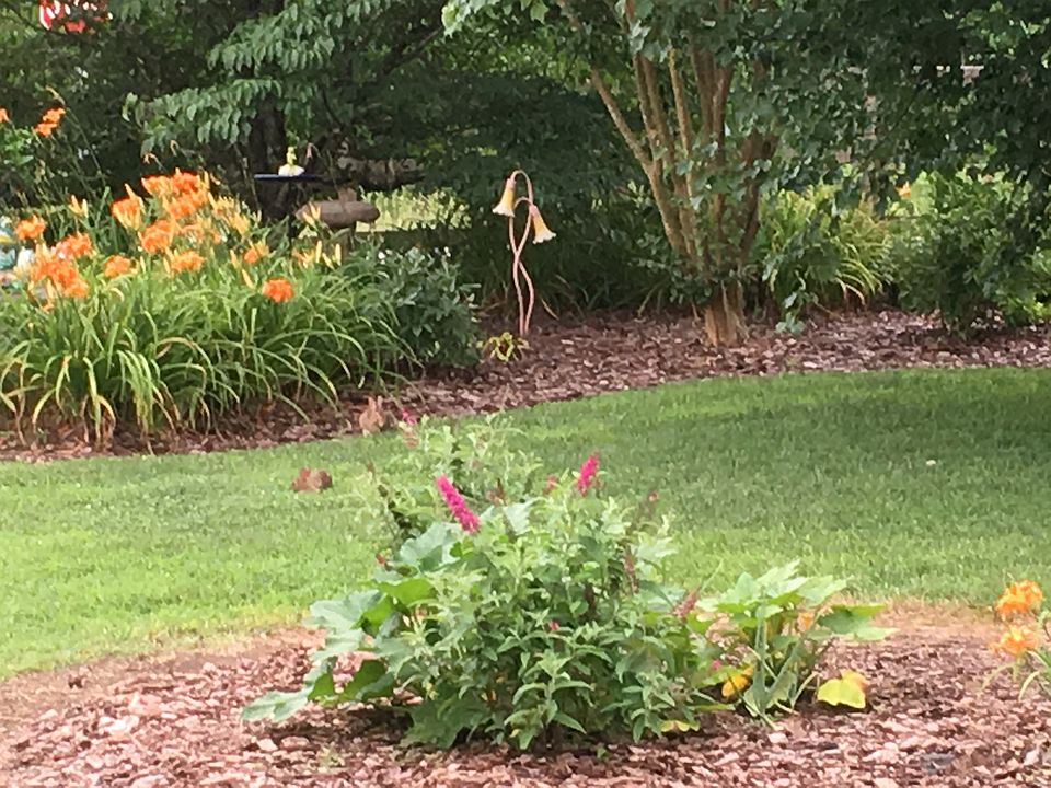 Front yard flower beds