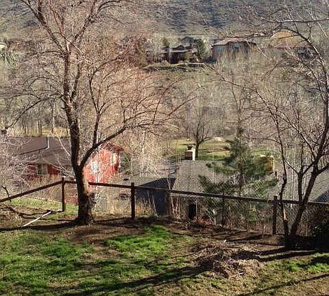 View of back yard