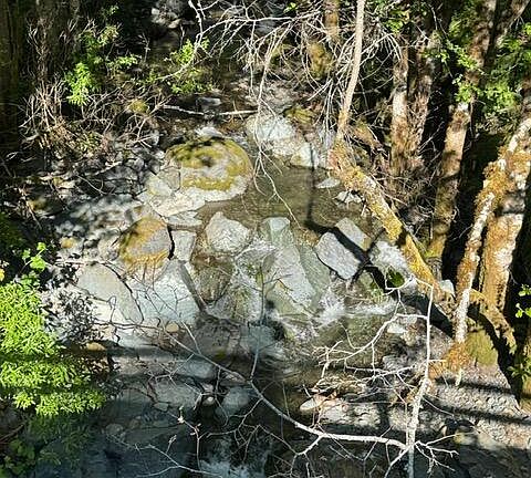 5th image of 37430 Alderpoint Rd