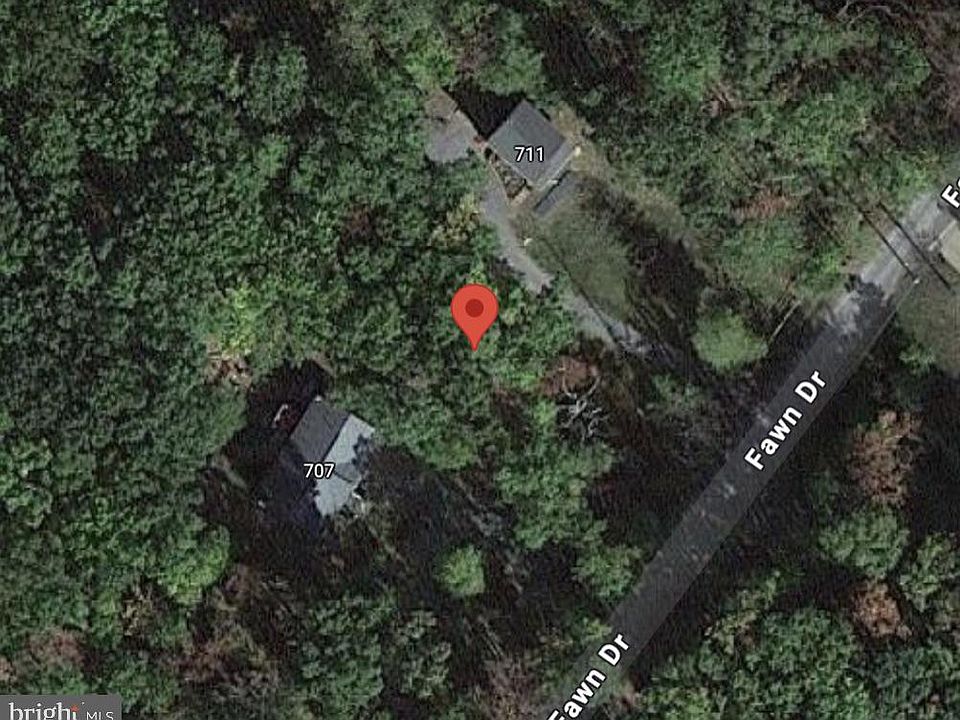 2nd image of 709 Fawn Dr