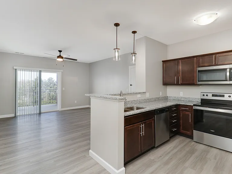 Open-Concept Kitchen/Living