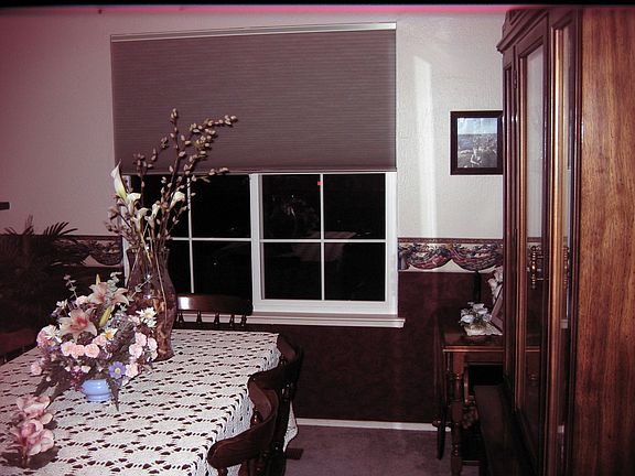 new windows and shades