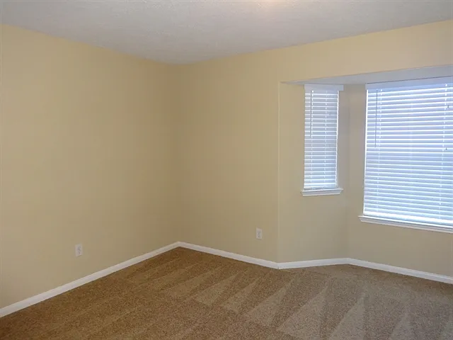 9031 Ferndale View Dr — Photo 13