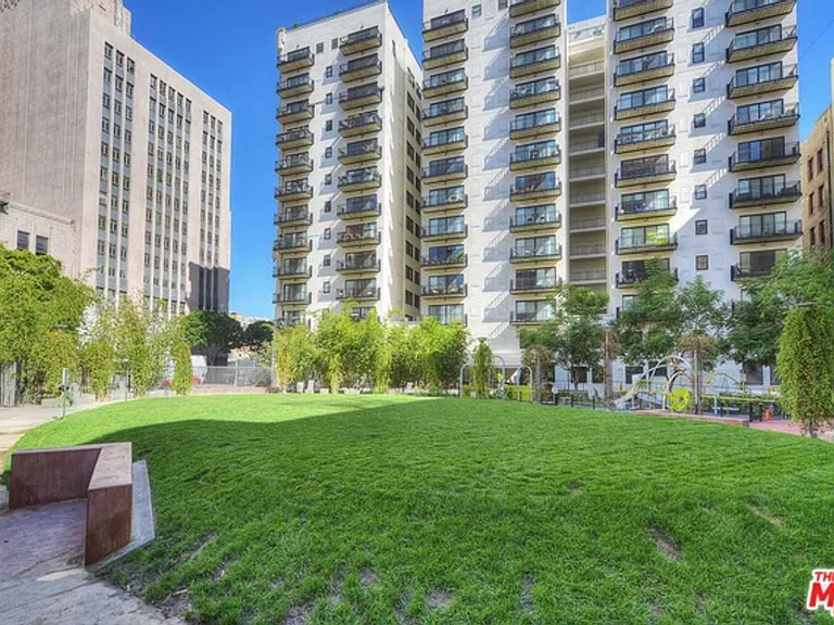 460 S Spring St #510 — Photo 12