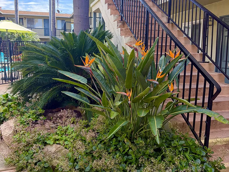 Park View Apartments — Photo 1