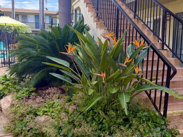 Park View Apartments, 723 Eucalyptus Ave #21, Vista, CA 92084