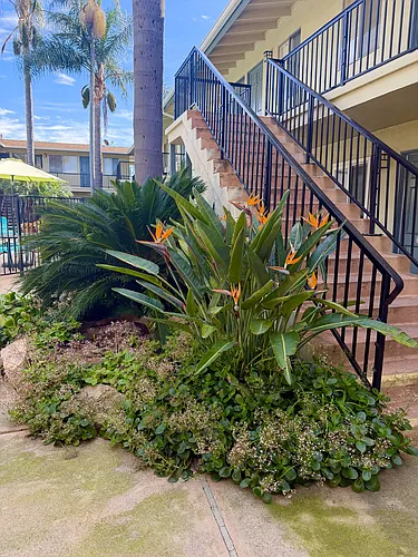 Park View Apartments Photo 1
