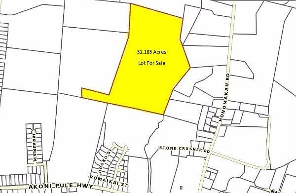2nd image of LOT 177 B
