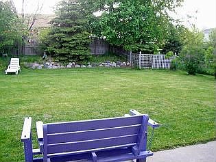 Yard