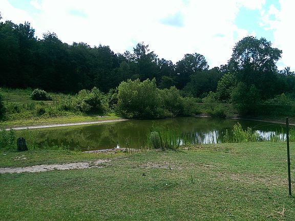Pond