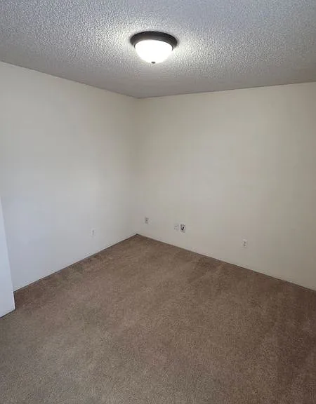 3242 N Virginia Ave — Photo 5