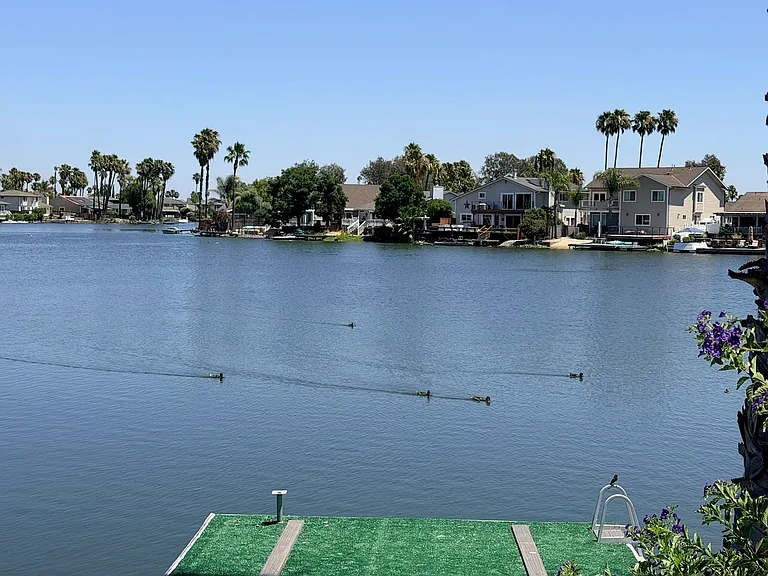 1323 Discovery Bay Blvd — Photo 6