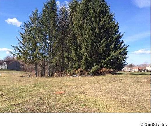 4th image of 243 Woodsview Dr