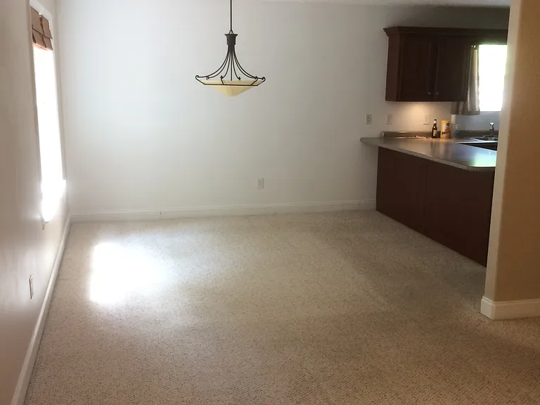 112 Shady Side Ln — Photo 8
