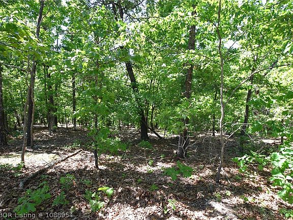 3rd image of Sacred Fire Ridge Rd