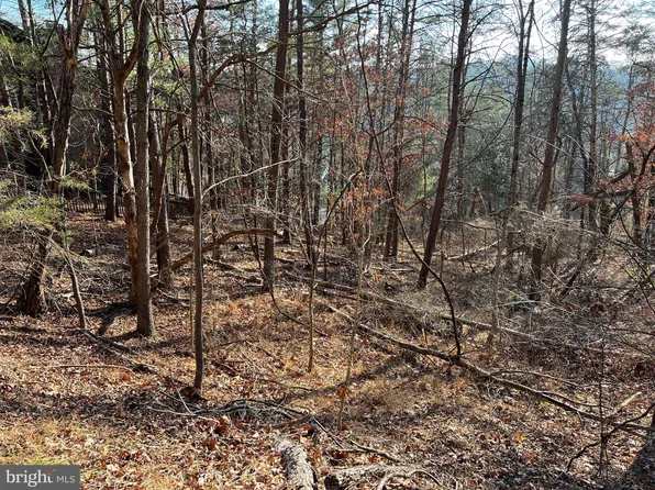 0 Beauregard Dr, Basye, VA 22810