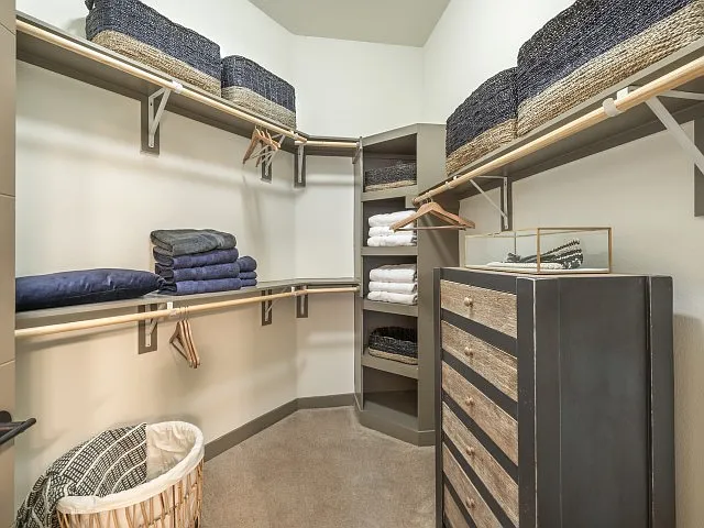 Spacious Walk-in Closet