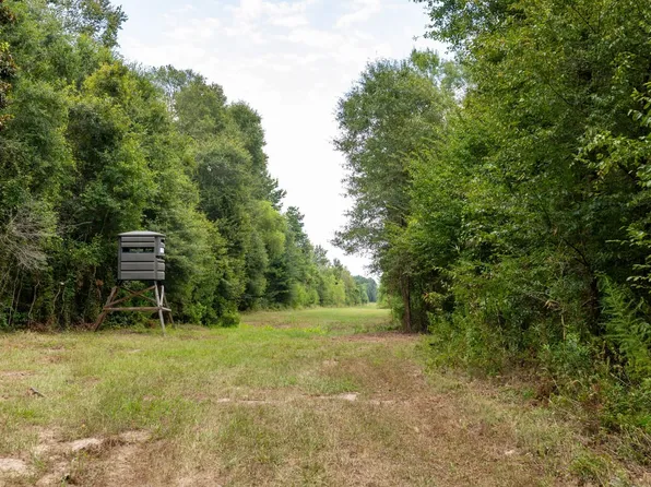 40459 Greenwell Springs Rd, Clinton, LA 70722
