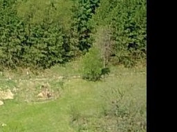 200AC Burke Rd, Madison, WI 53718