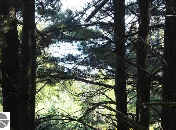 2nd image of 0 Cabin Ln Lot 52-B