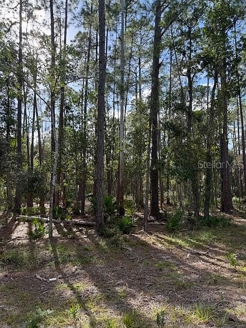 1st image of 207 Ocala Ct Lot 3