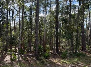 207 Ocala Ct Lot 3, Georgetown, FL 32139
