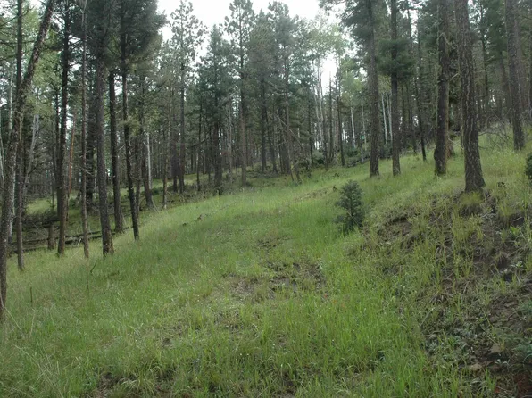 1530 Colfax Ter, Angel Fire, NM 87710