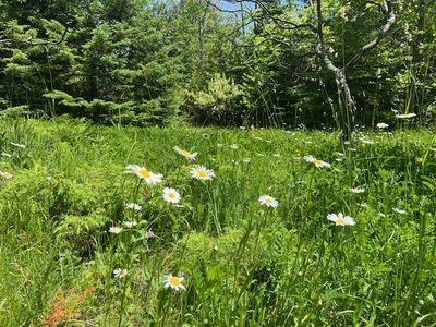 N Coral Hill Rd, Ephraim, WI, 54211