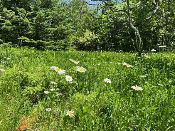 N Coral Hill Rd, Ephraim, WI 54211