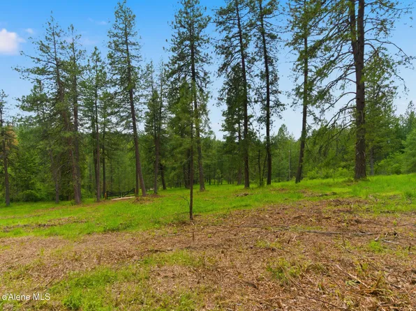 PARCEL S Dunlap Rd #A, Harrison, ID 83833