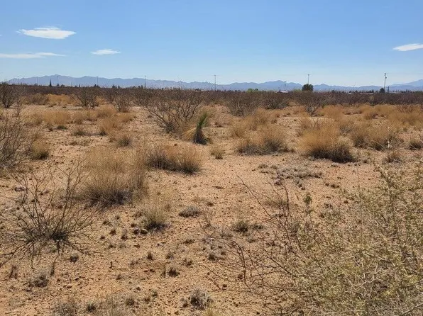 xxxx TBD 4th Street #8, Douglas, AZ 85607