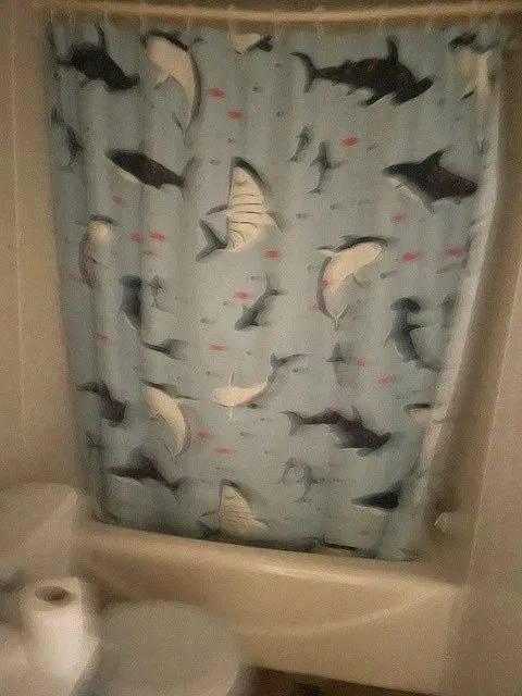 2 bed, 1000 sqft, $950 — Photo 4