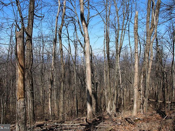 2nd image of Windy Way