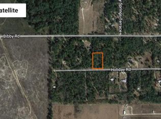 256 Terrace, O'Brien, FL 32071