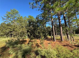 12351 SW 67th Ln LOT 2, Ocala, FL 34481