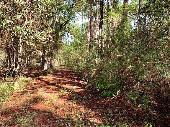 5th image of Pine Bay Ln
