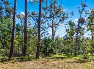 143 SE Yearling Rd, Mayo, FL 32066
