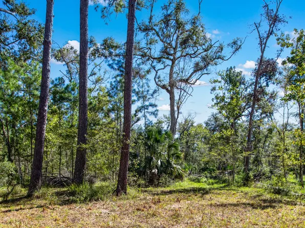 143 SE Yearling Rd, Mayo, FL 32066