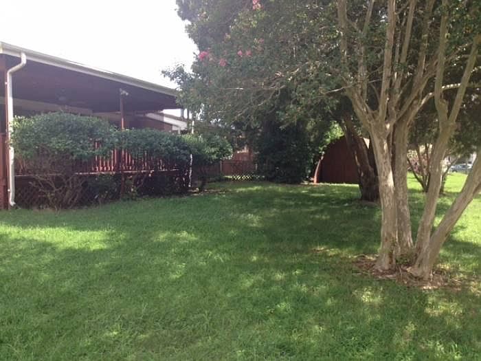 Front/ Side yard view