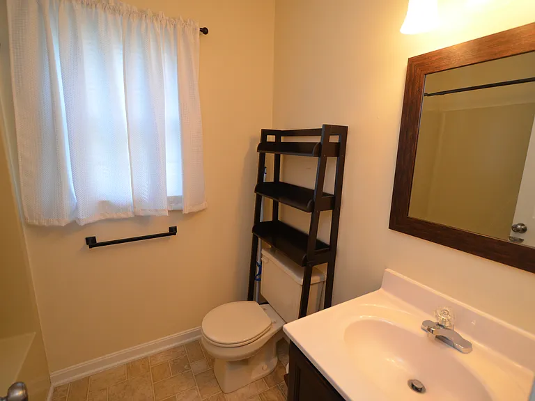 Upper level hallway bathroom