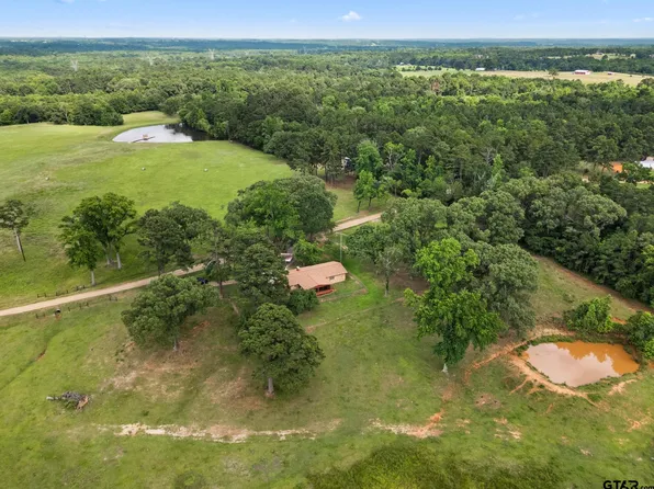 302 Vz County Road 4825, Ben Wheeler, TX 75754