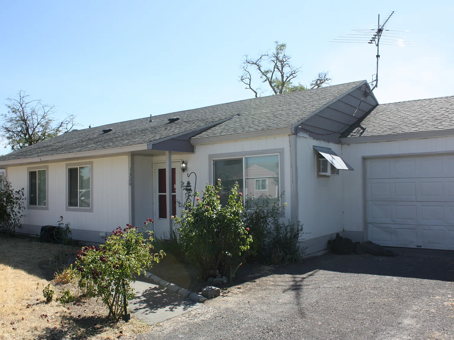 2 bed, 1000 sqft, $1,250 — Photo 3